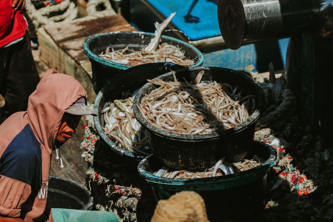 A fisherman sorting his catch into buckets aboard a small open boat